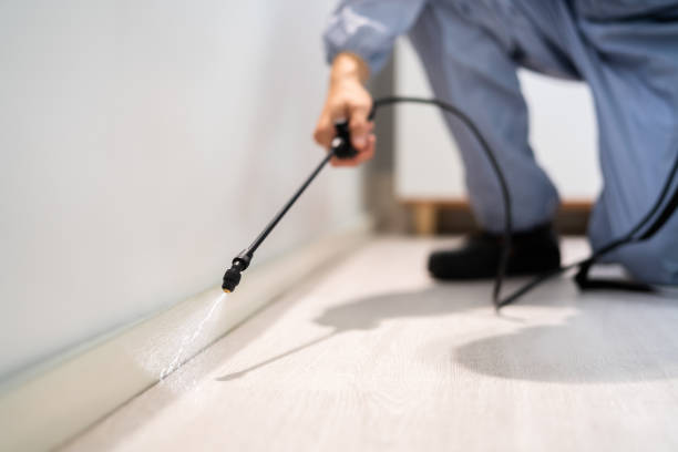 Bed Bug Pre-Treatment Preparation Assessment in Arroyo Grande