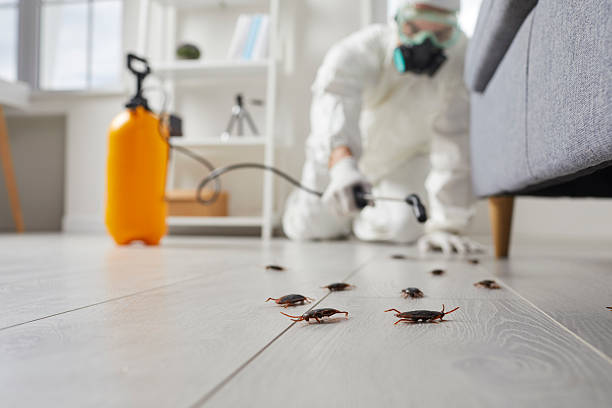 Post-Treatment Bed Bug Interceptor Monitoring in Arroyo Grande