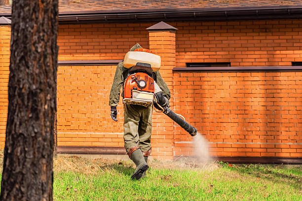 Bed Bug Clearance Verification and Documentation in Arroyo Grande